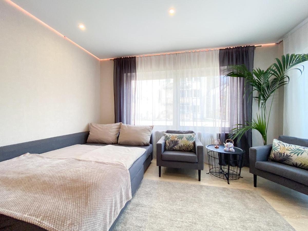 Modernes Apartment In Zentrumsnaehe Mit Eigenem Stellplatz 巴登-巴登 外观 照片